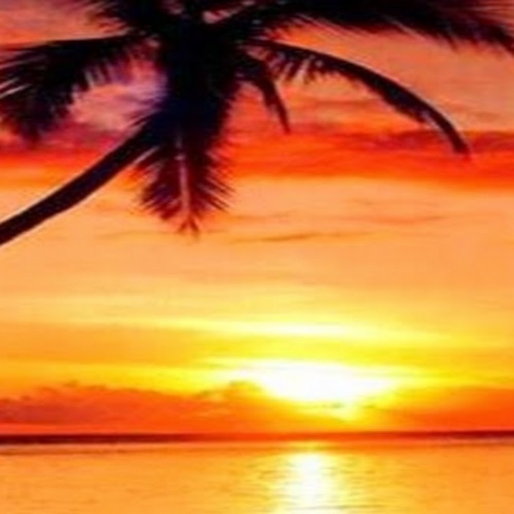 Meet your Posher, Rithika